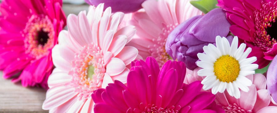 arteenflor.com.mx