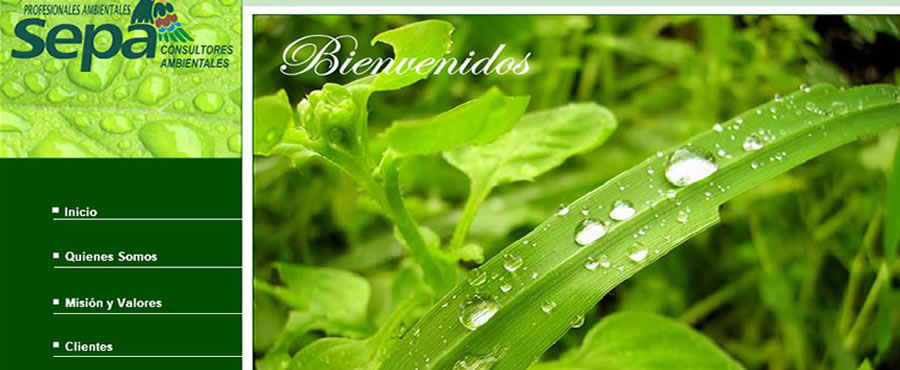 serviciosepa.com